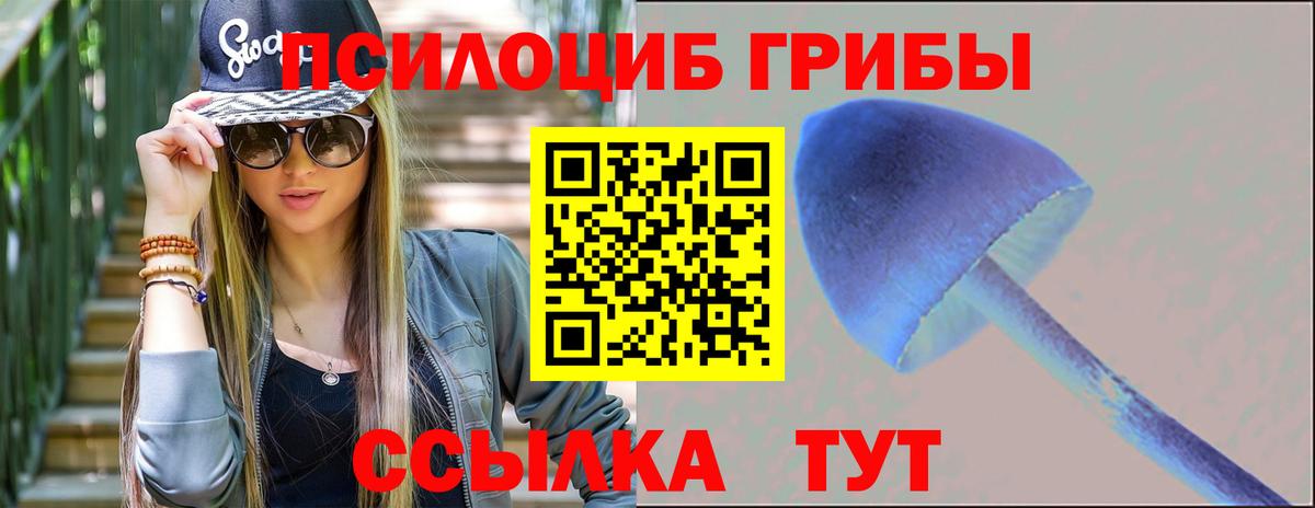 Псилоцибиновые грибы Psilocybe  Вход с VPN  Моршанск 